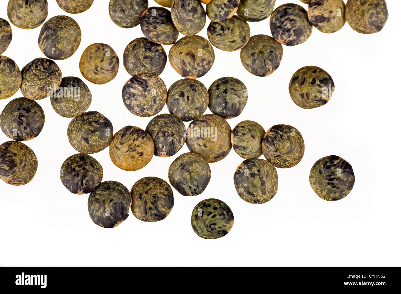 French lentils isolated on white background Stock Photo
