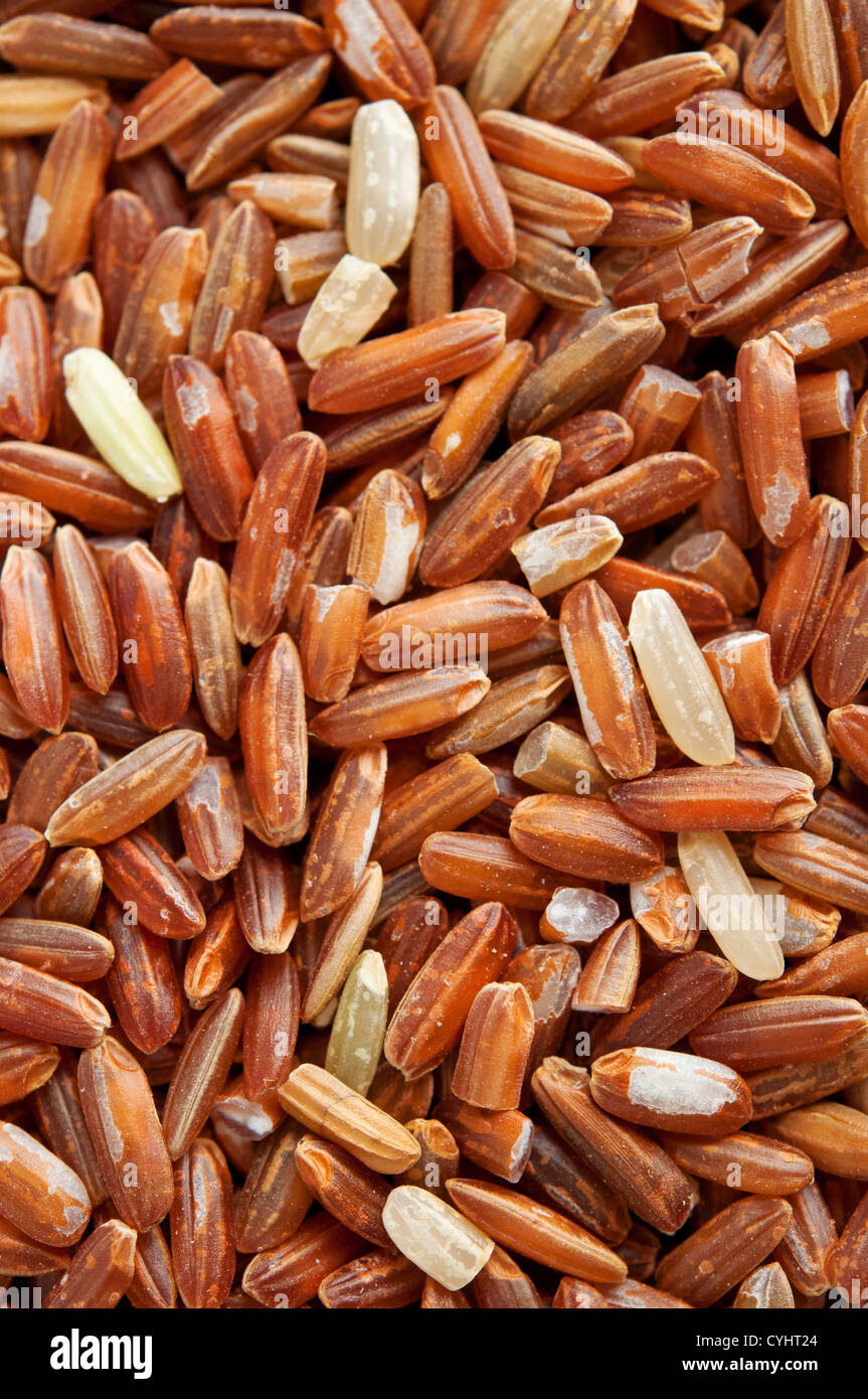 Close up unpolished red rice, product of Kelantan, Malaysia,Asia Stock