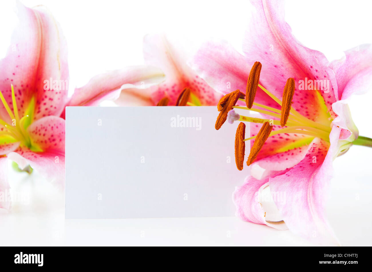 Blank gift hires stock photography and images Alamy