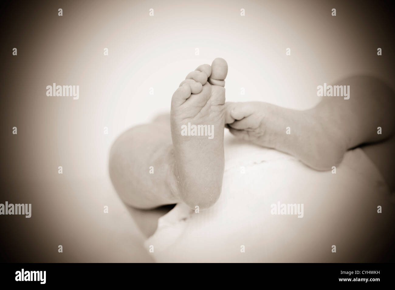 foot of newborn baby as close up Stock Photo Alamy