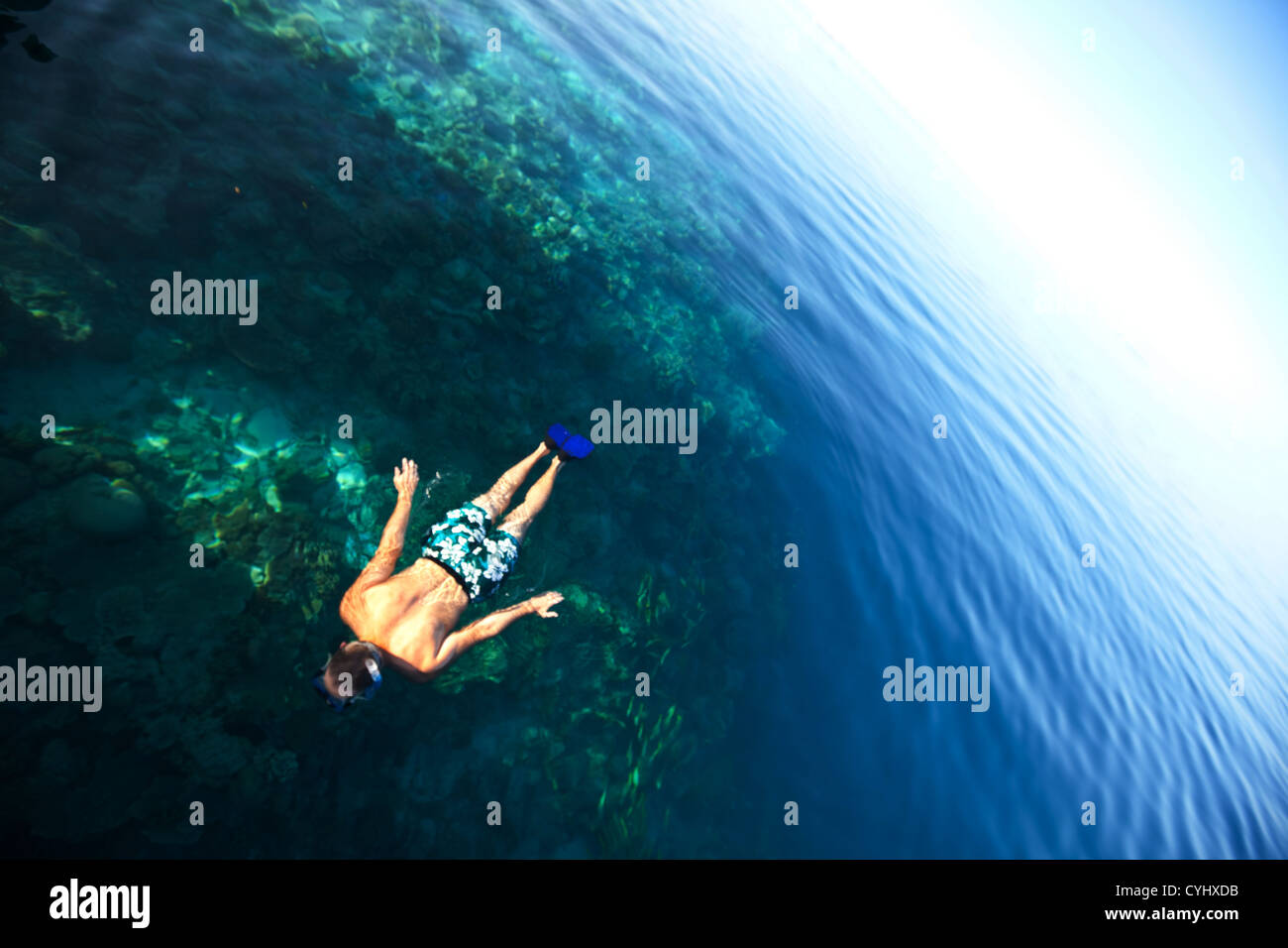 Snorkeling in the maldives hi-res stock photography and images - Alamy