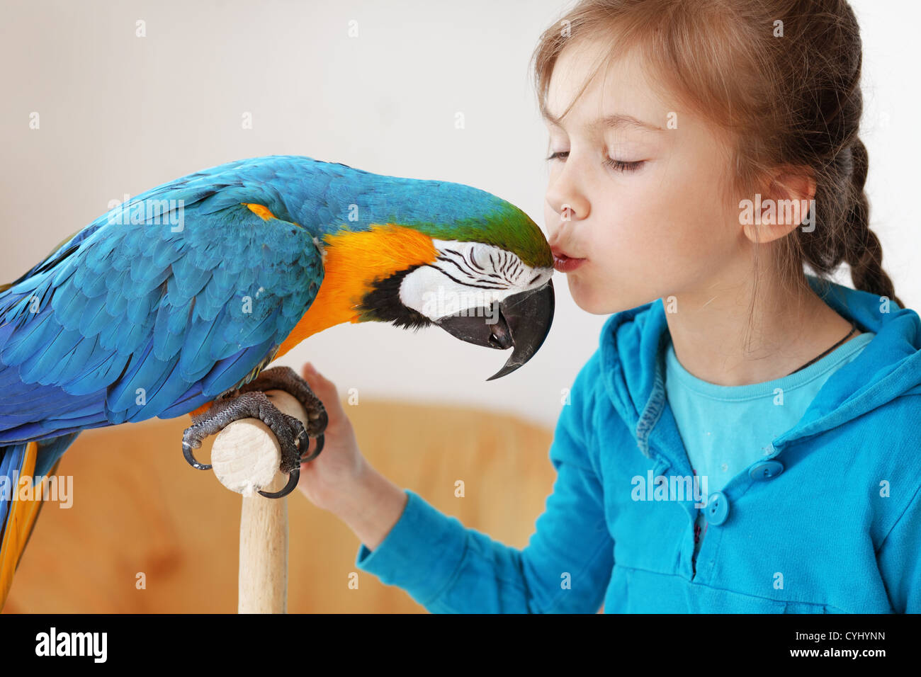 Child with ara parrot Stock Photo  Alamy