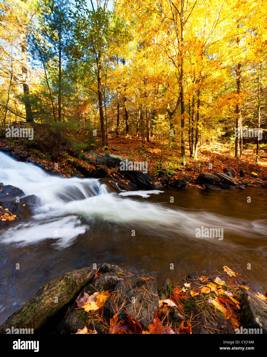 Waterfall in autumn, Minden, Ontario, Canada Stock Photo