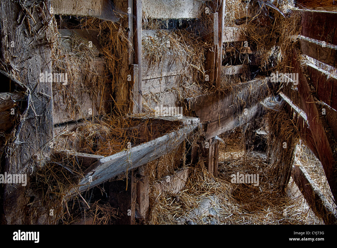 Livestock feeding trough in old barn. Stock Photo
