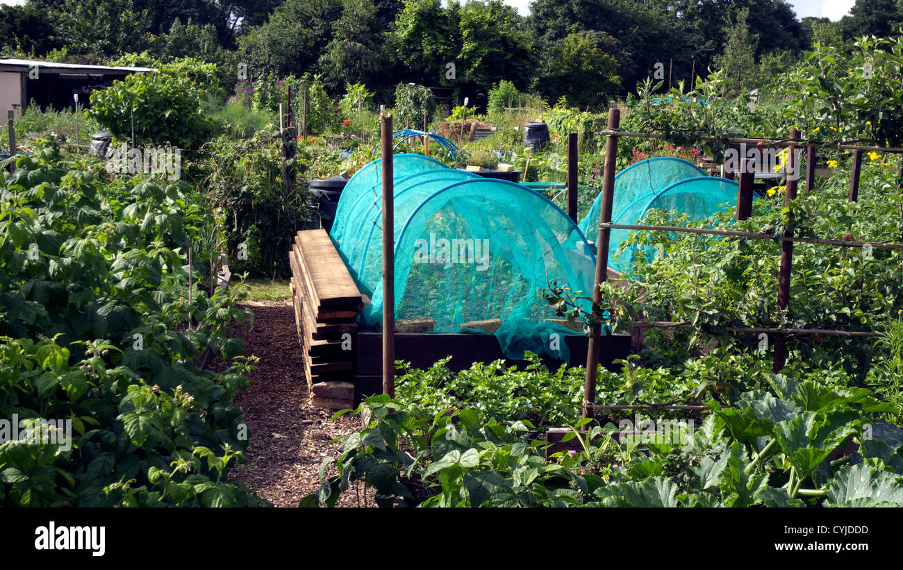 Bird netting hires stock photography and images Alamy