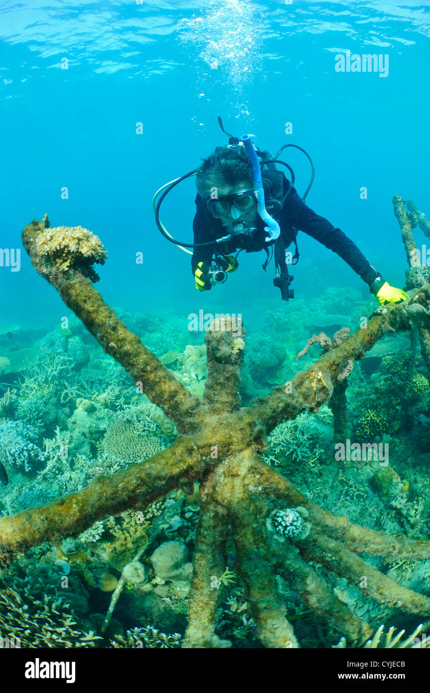 Thomas Goreau from the Global Coral Reef Alliance examining a older