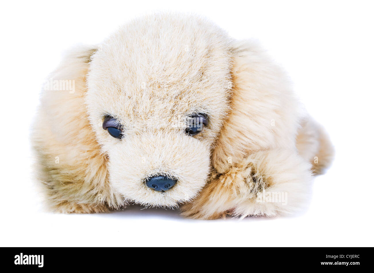 Soft plush toy dog isolated Stock Photo