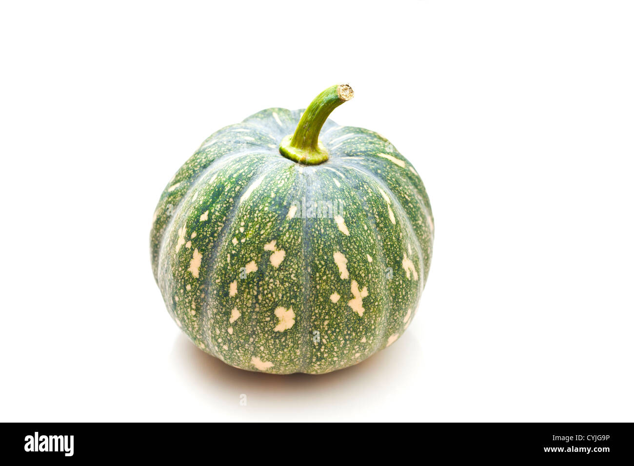 Pumpkin isolated on white background Stock Photo - Alamy