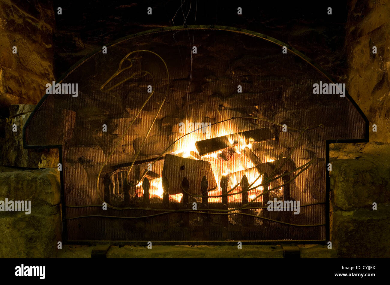 Open fire with a swan fireguard Stock Photo