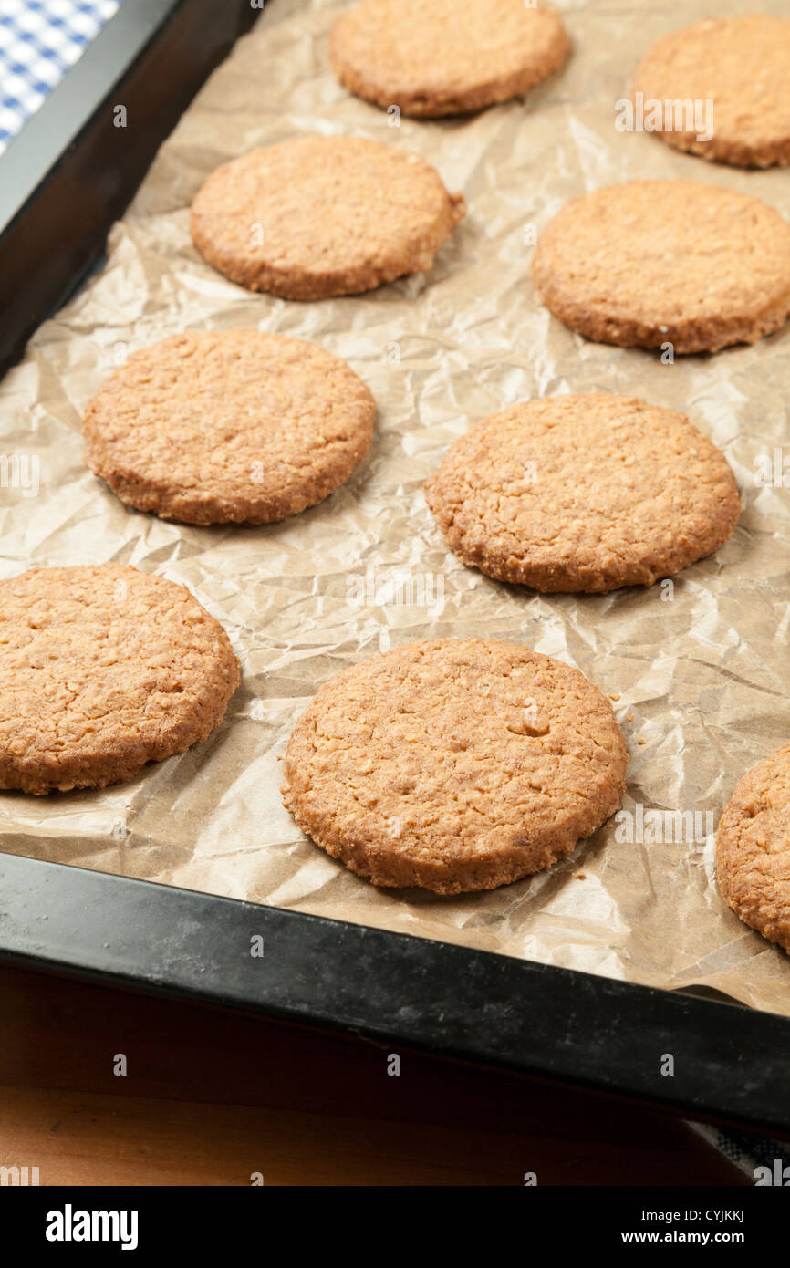 Oat biscuits on baking sheet freshly baked Stock Photo