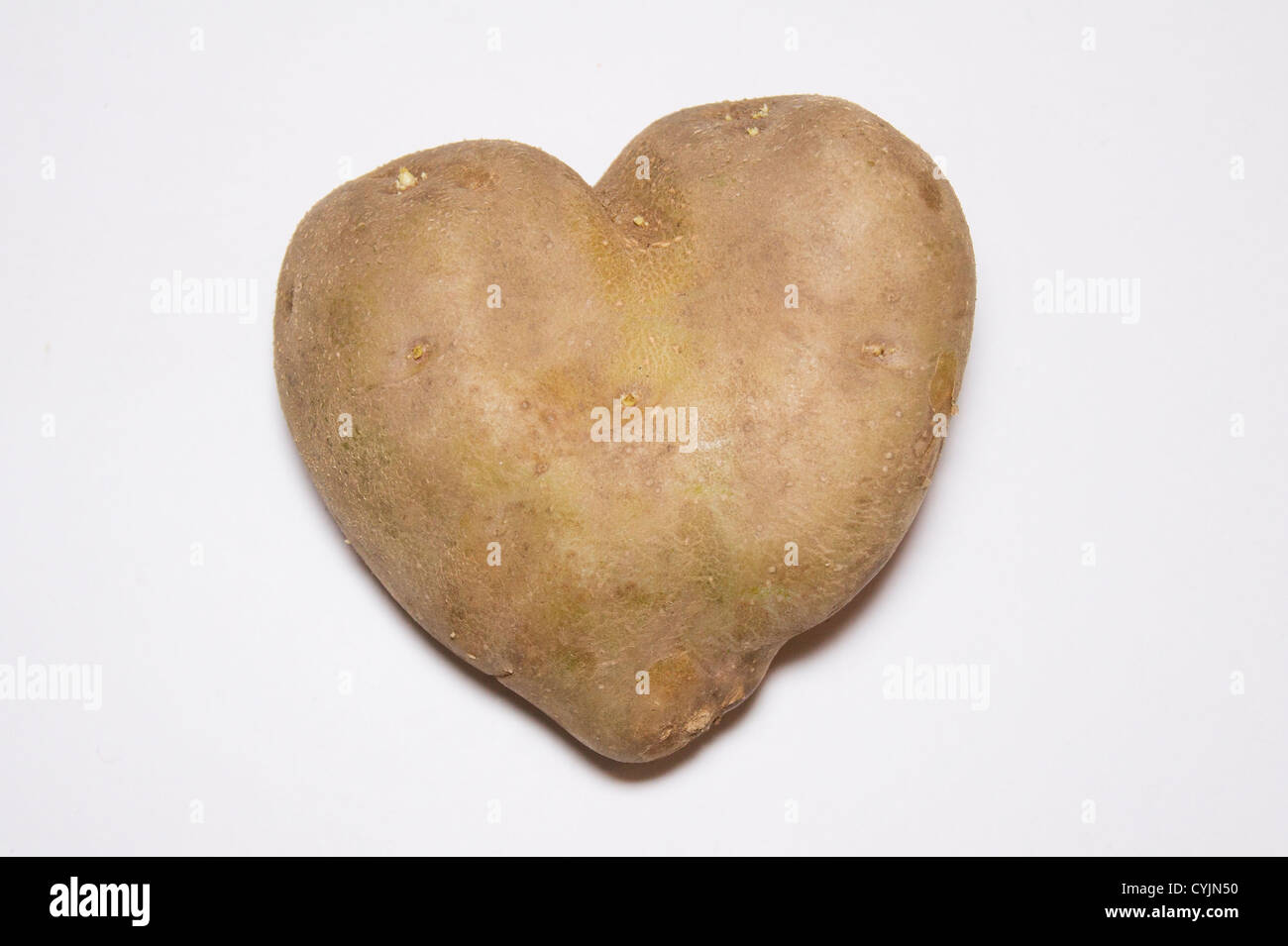 Heart shaped potato on a white background Stock Photo - Alamy