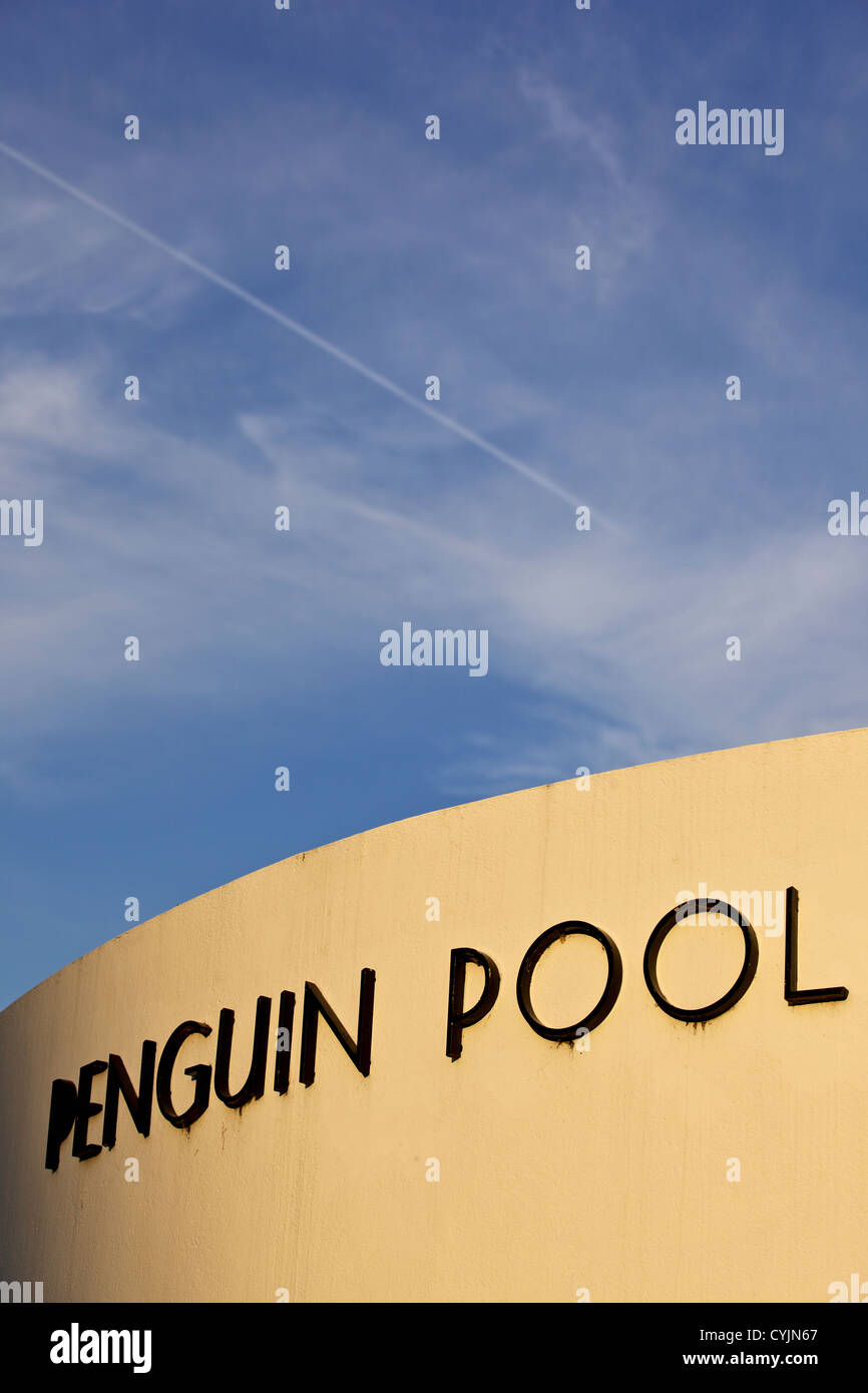 Penguin Pool, at London Zoo, Regent Park, England, Great Britain, UK, Europe Stock Photo