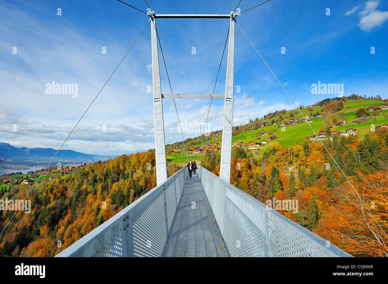 Panorama Suspension Bridge across the Gummischlucht (Gummi Canyon),  Sigriswil, Bern, Switzerland Stock Photo - Alamy