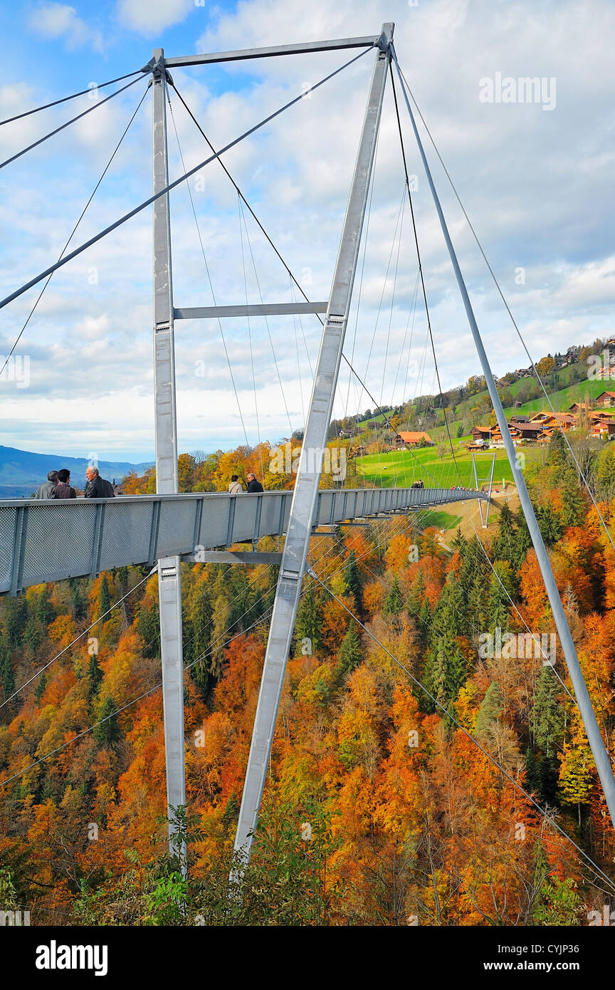 Panorama Suspension Bridge across the Gummischlucht (Gummi Canyon