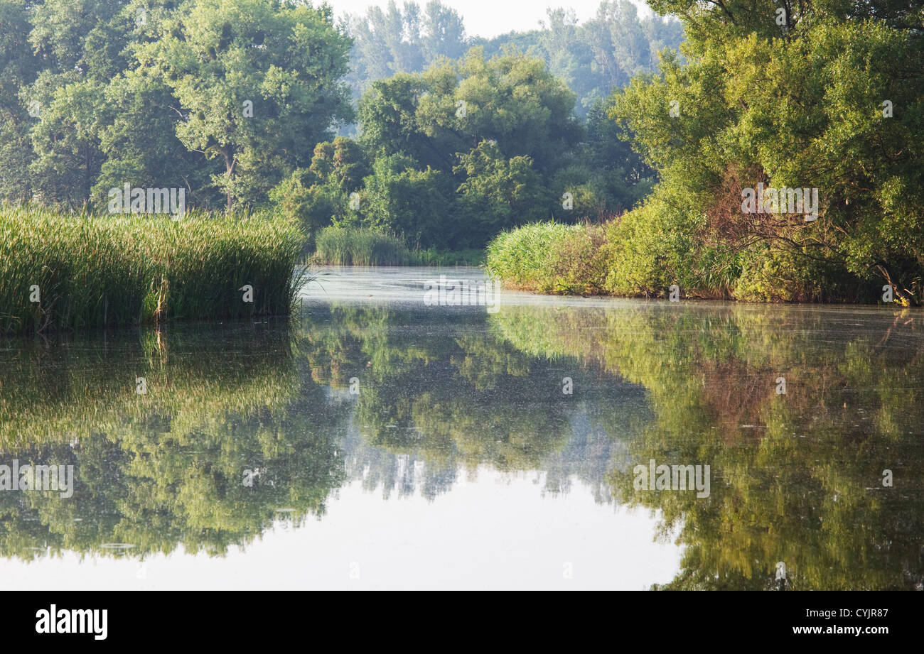 Bank river hi-res stock photography and images - Alamy