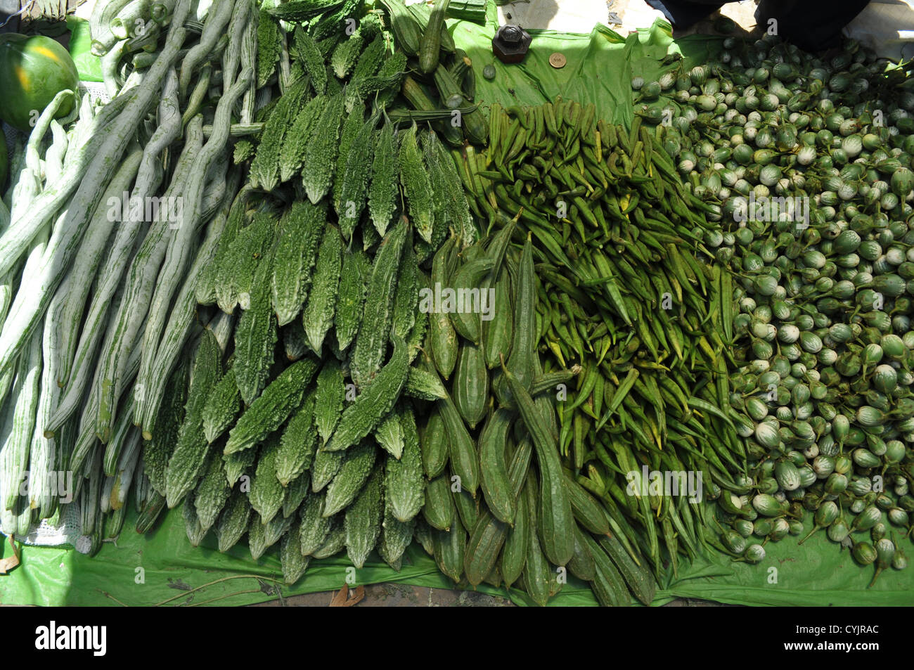 Exotic green vegetables including snake gourds, bitter gourds and ridge