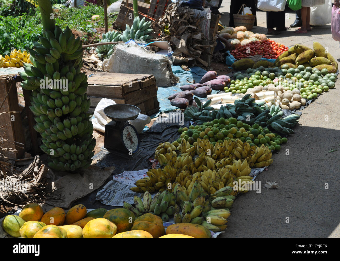 Fresh exotic fruits at a fruit and vegetable market in Bandarawela, Sri