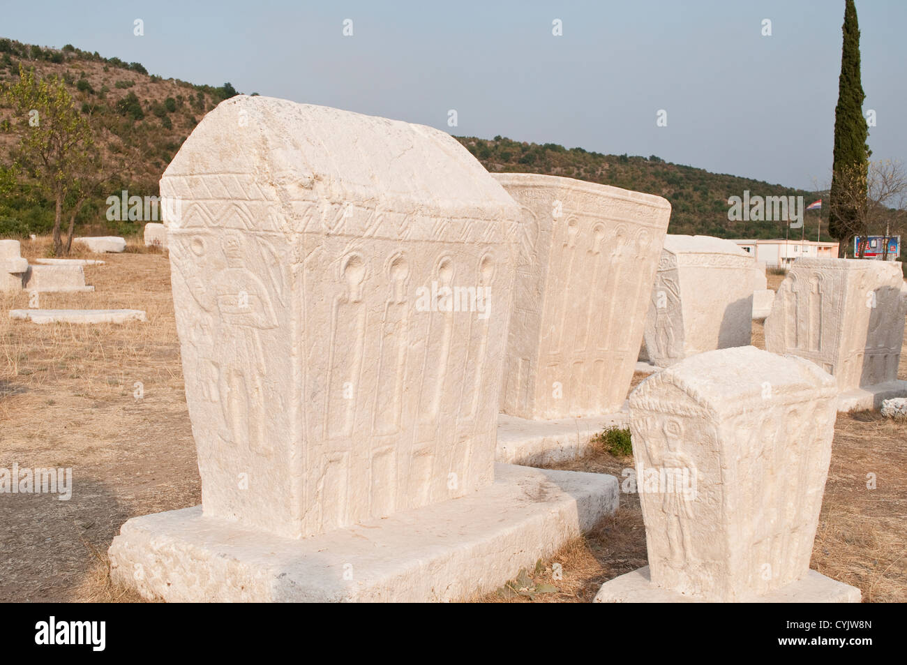 Medieval headstones Stecci at necropolis Radimlja, near Mostar, Bosnia and Herzegovina Stock Photo