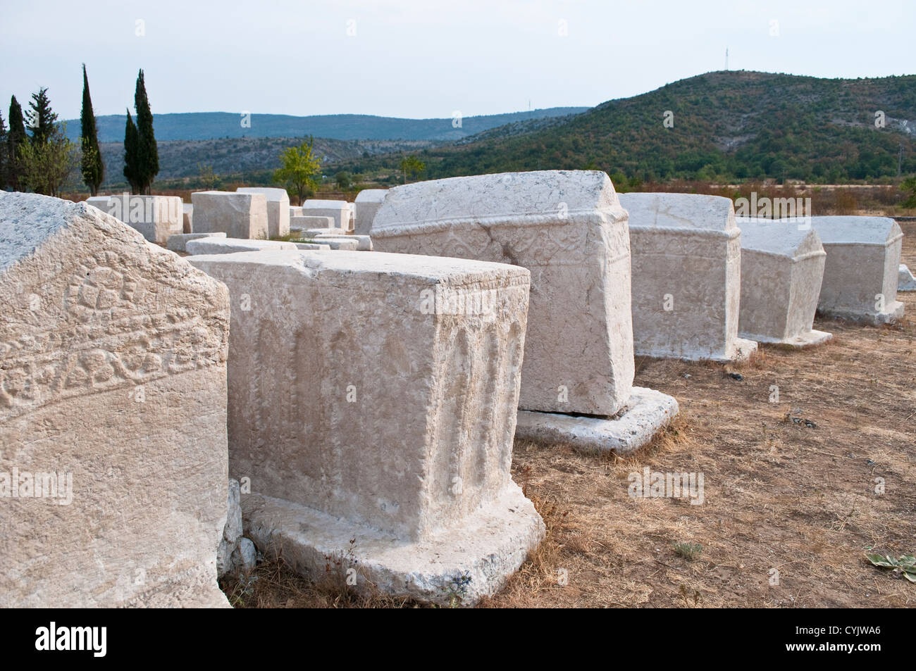 Medieval headstones Stecci at necropolis Radimlja, near Mostar, Bosnia and Herzegovina Stock Photo