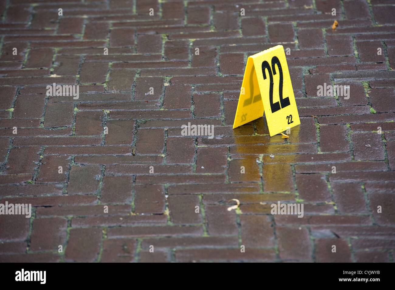 Evidence is marked with a number on a crime scene Stock Photo