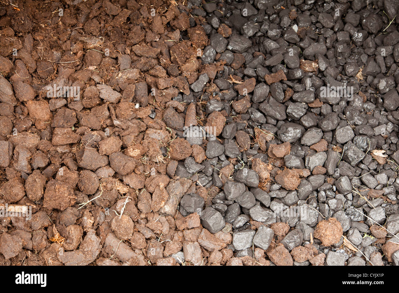 Pieces of dried peat and coal Stock Photo Alamy