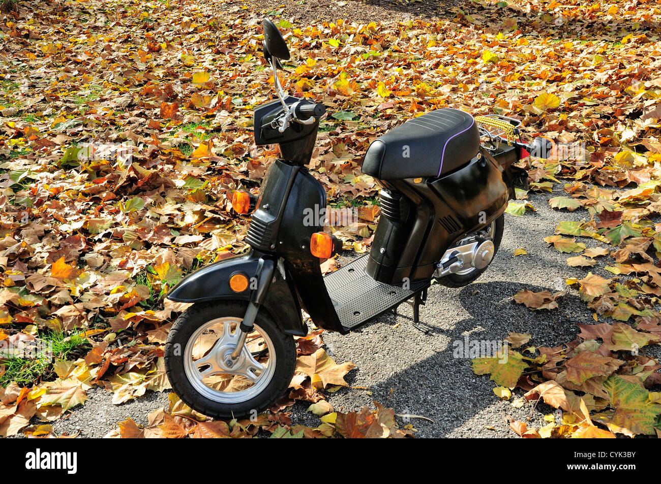 1986 Honda Spree scooter parked in autumn Stock Photo - Alamy