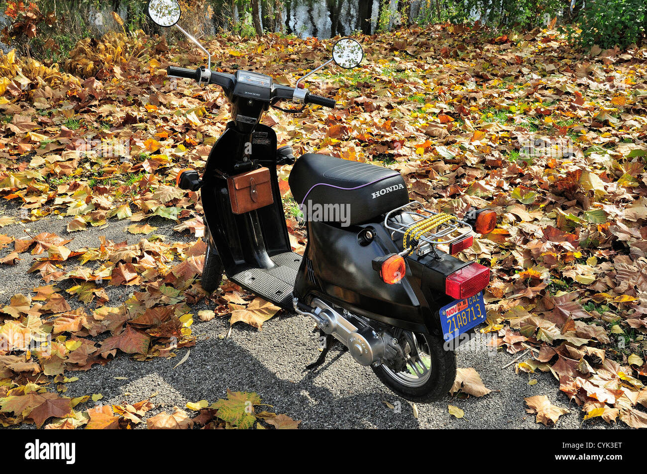 1986 Honda Spree scooter parked in autumn. Stock Photo