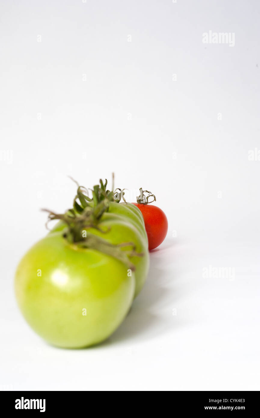 A line of tomatos Stock Photo
