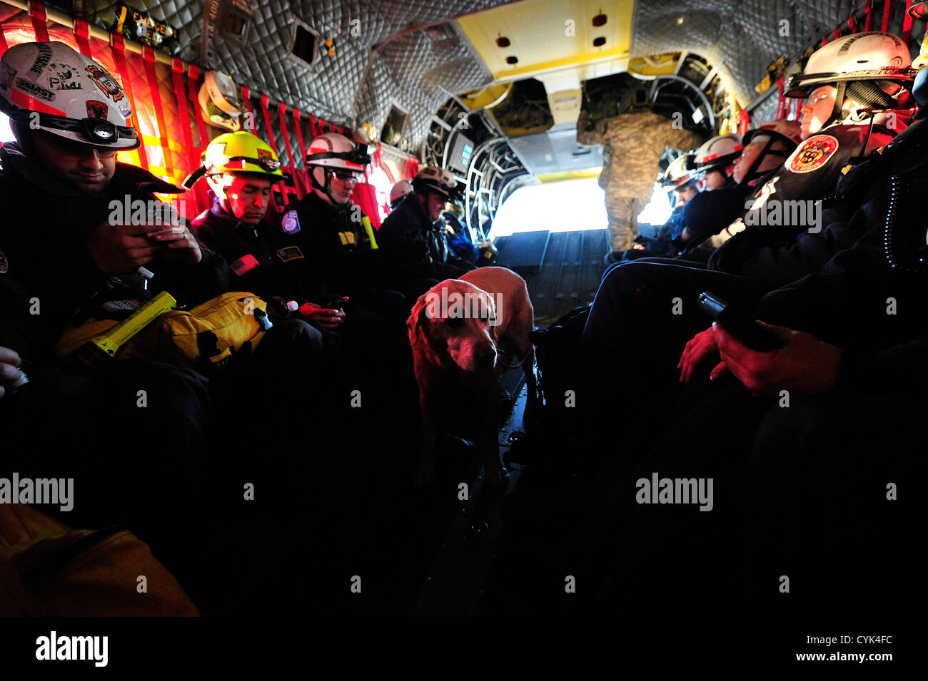 Md Task Force Maryland task force 1 hi-res stock photography and images - Alamy