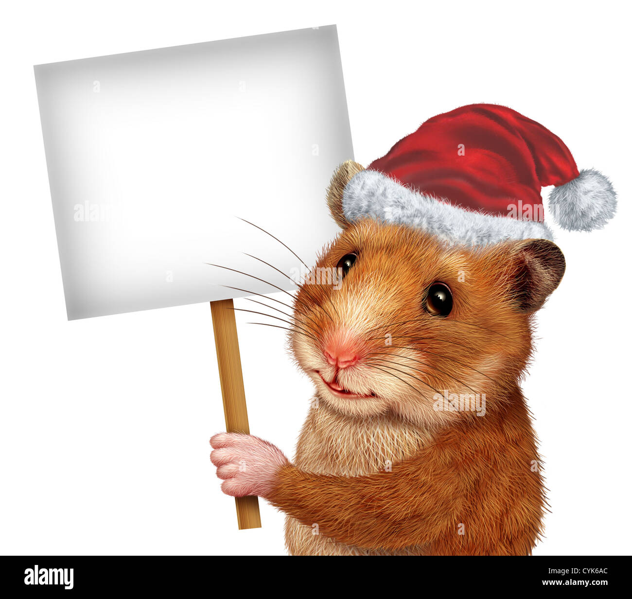 Holiday pet holding a blank white sign as an advertising and marketing concept with a cute mouse like mammal with a smile communicating an important Veterinary or Veterinarian related message. Stock Photo
