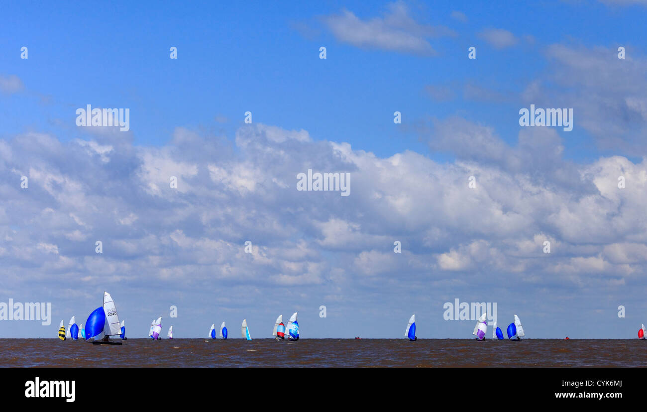 Laser 2000 sailing fleet at Snettisham in Norfolk. Stock Photo