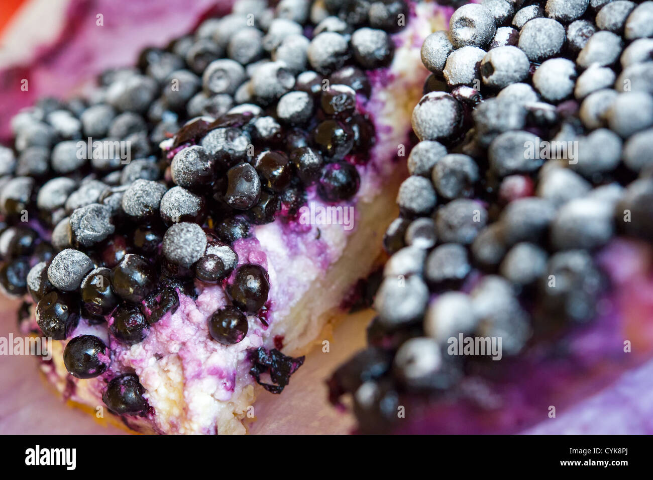 Close-up of Blueberry pie. Shallow DOF. Stock Photo