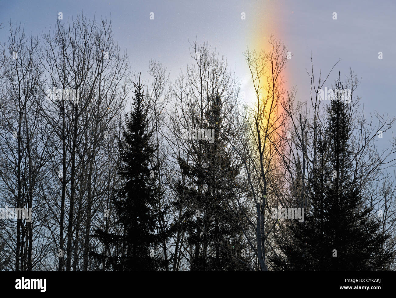 Sundog' Winter refractions through airborne frost crystals, Greater Sudbury, Ontario, Canada Stock Photo