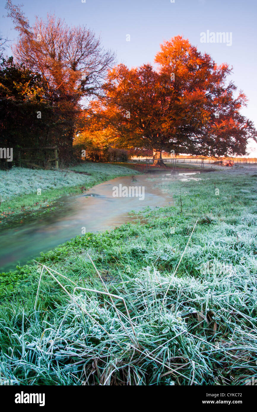 The first hard frost of the year, with autumnal trees in the background and a winter-only stream running through. Stock Photo