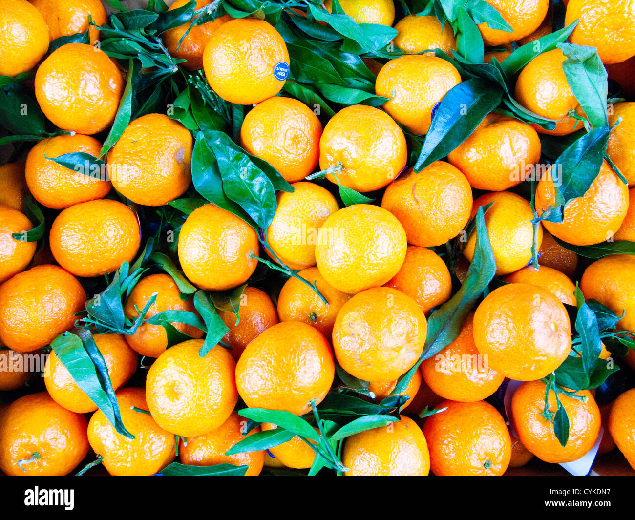 Usually seedless hires stock photography and images Alamy