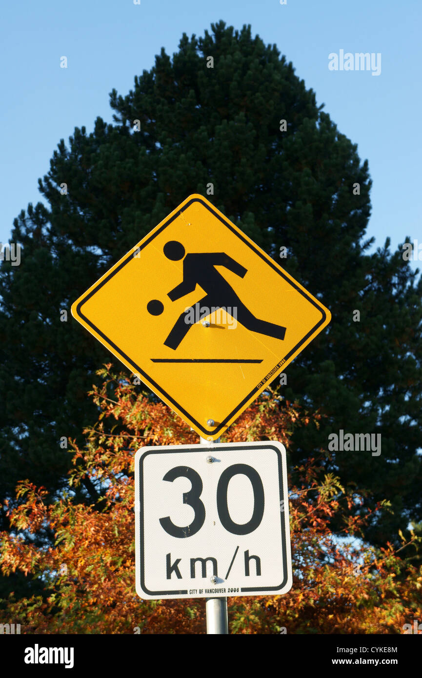 Auto-Schild "Ich Fahre Nicht Langsam..." - Witziger Stoßstangenaufkleber 14x14 Cm