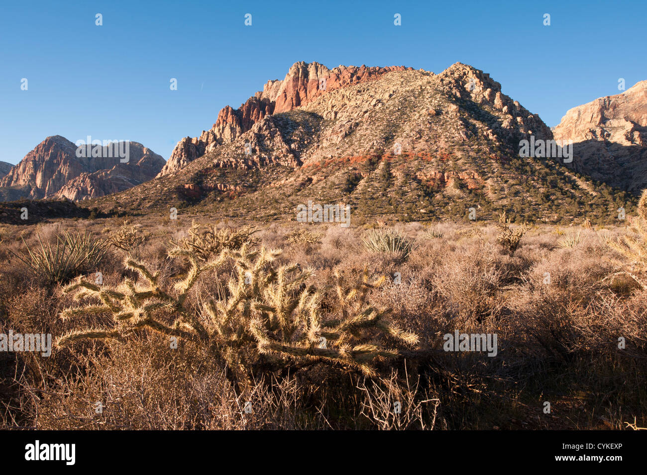 Red Rock Canyon National Conservation Area desert outside Las Vegas, Nevada Stock Photo Alamy