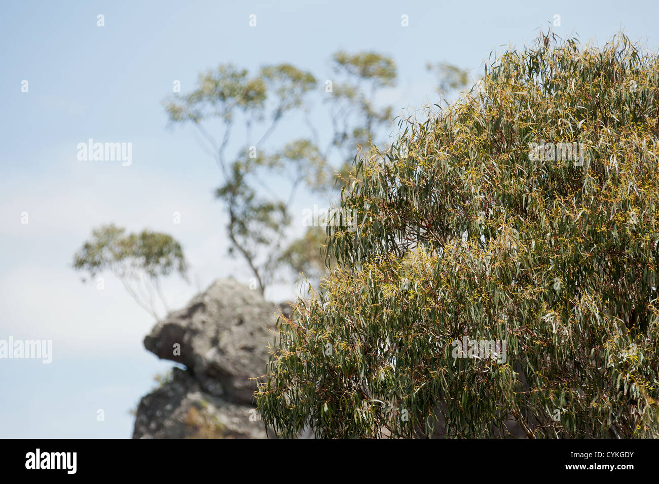 Australian wild landscape hires stock photography and images Alamy