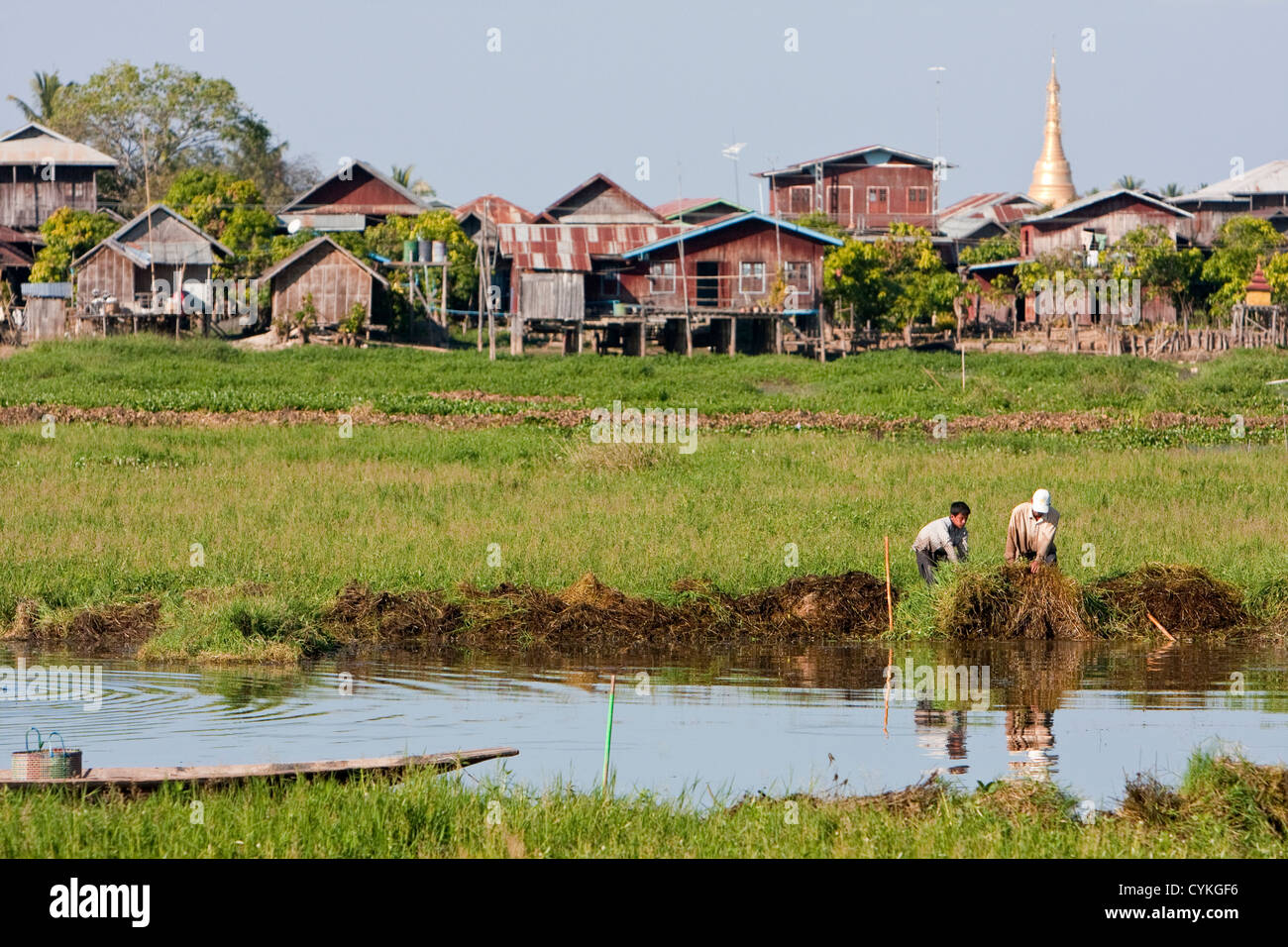 Myanmar, Burma. Cleaning Waterway, Inle Lake, Shan State. Stock Photo