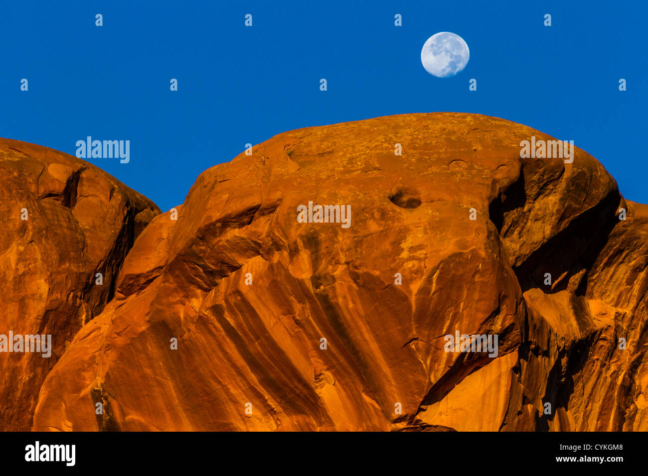 Moon setting over Parade of Elephants rock formation at sunrise in Arches National Park in Utah. Stock Photo