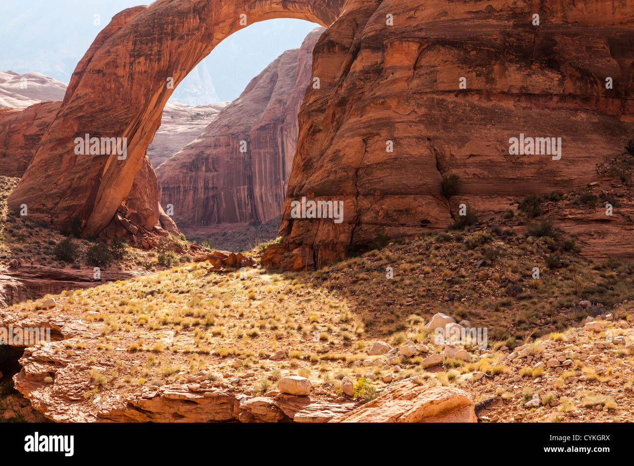 Rainbow Bridge National Monument in Lake Powell is the world's largest known natural bridge. It is located on the Navajo Reservation. Stock Photo