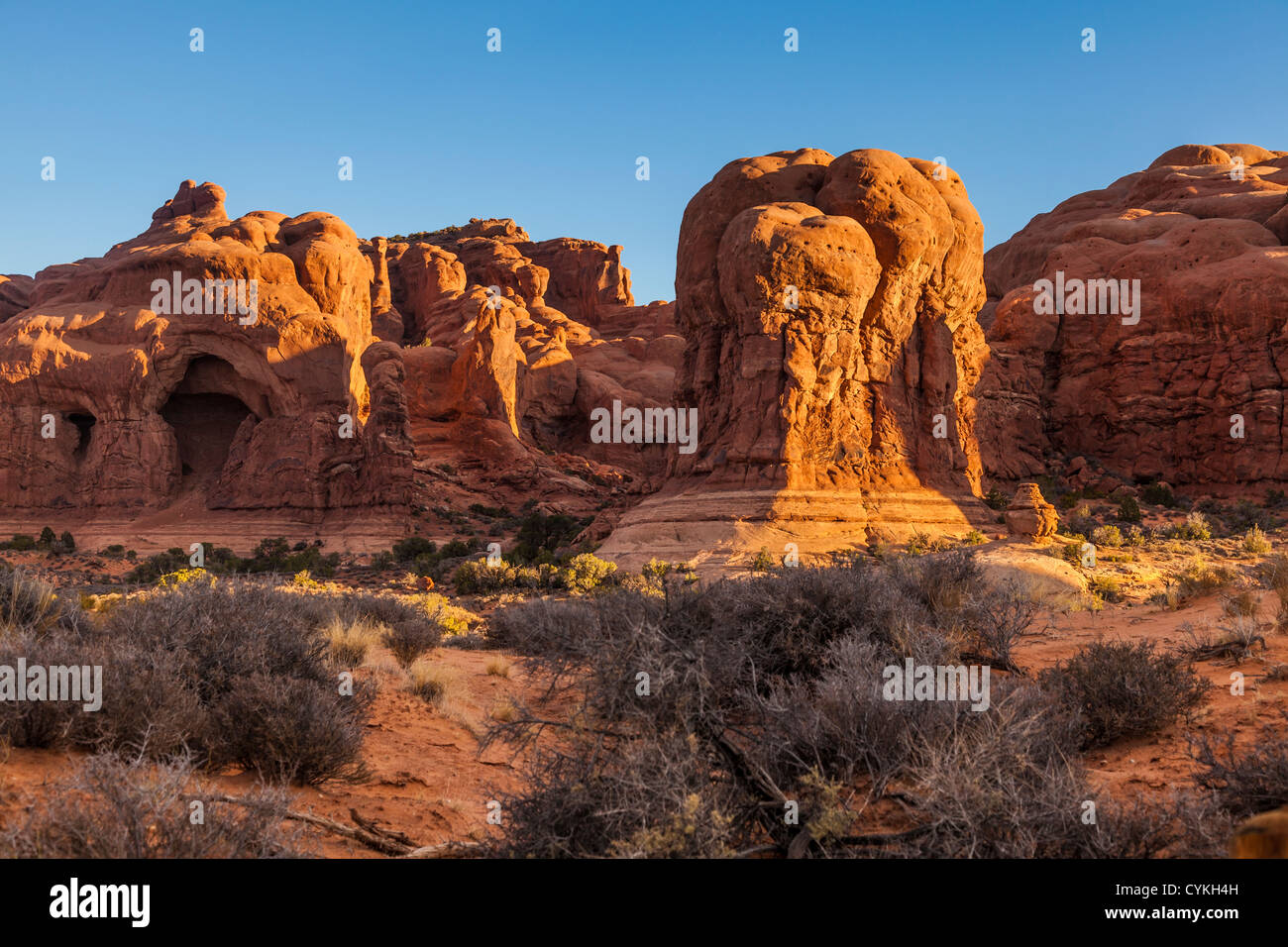 Parade of Elephants sandstone formations in Arches National Park in Utah in early morning light. Stock Photo
