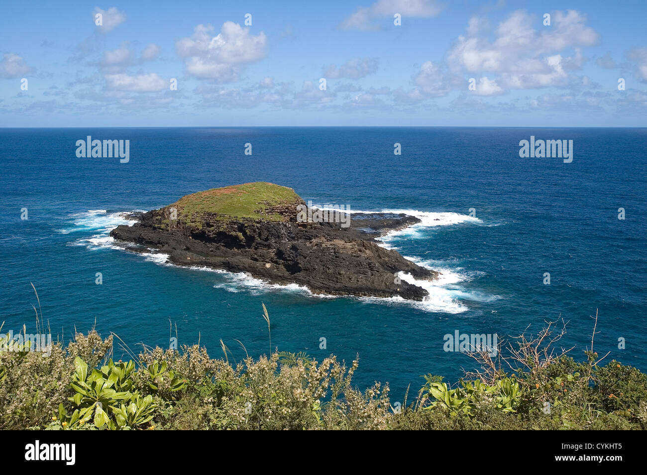 Elk284-7670 Hawaii, Kauai, Kilauea Lighthouse, view of offshore island Stock Photo