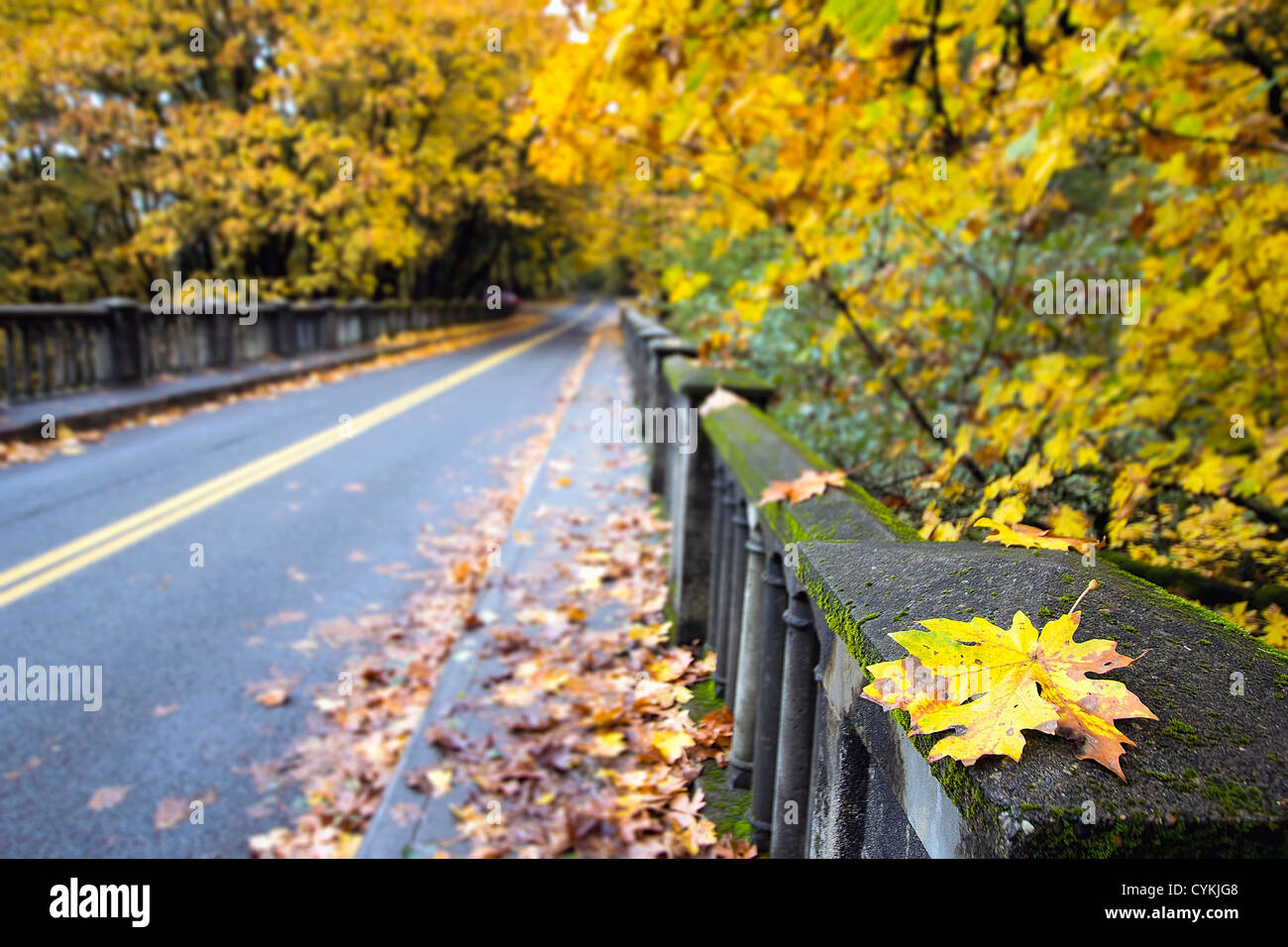 Fall Leaves Along Historic Columbia Highway Bridge with Blurred Background Stock Photo