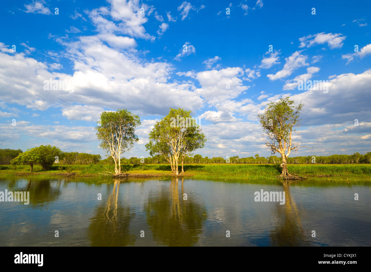 Yellow Water Billabong, Kakadu National Park, Northern Territory, NT