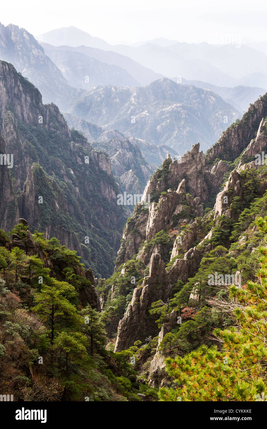 Yellow mountain valley during daylight with mountain range and sky in background Stock Photo
