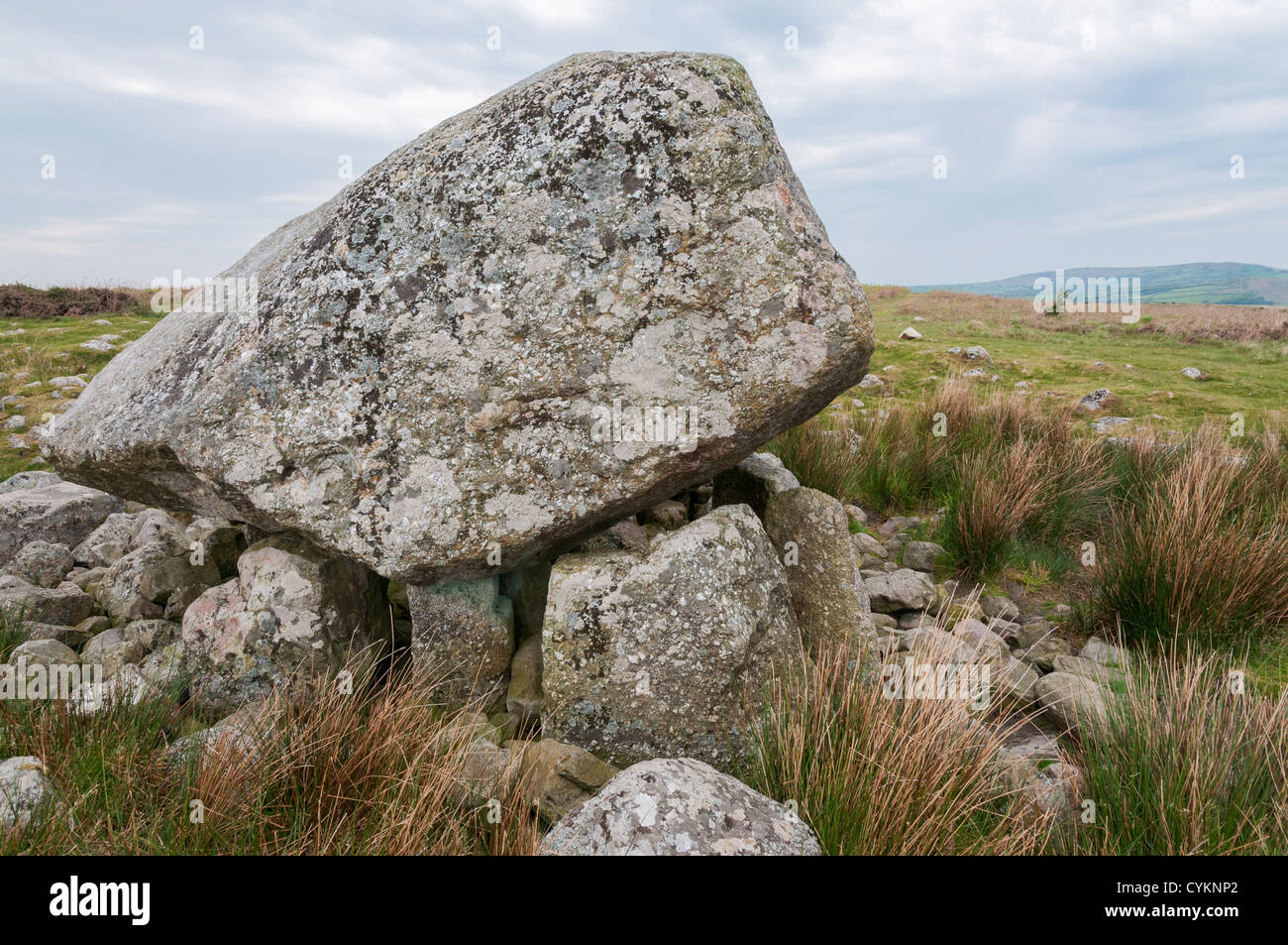 Wales, Gower Peninsula, Cefn Bryn, Arthur's Stone, Neolithic burial portal tomb dates from 2500 B.C. Stock Photo