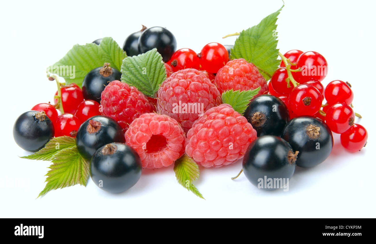raspberry red and black currant on a white background Stock Photo - Alamy