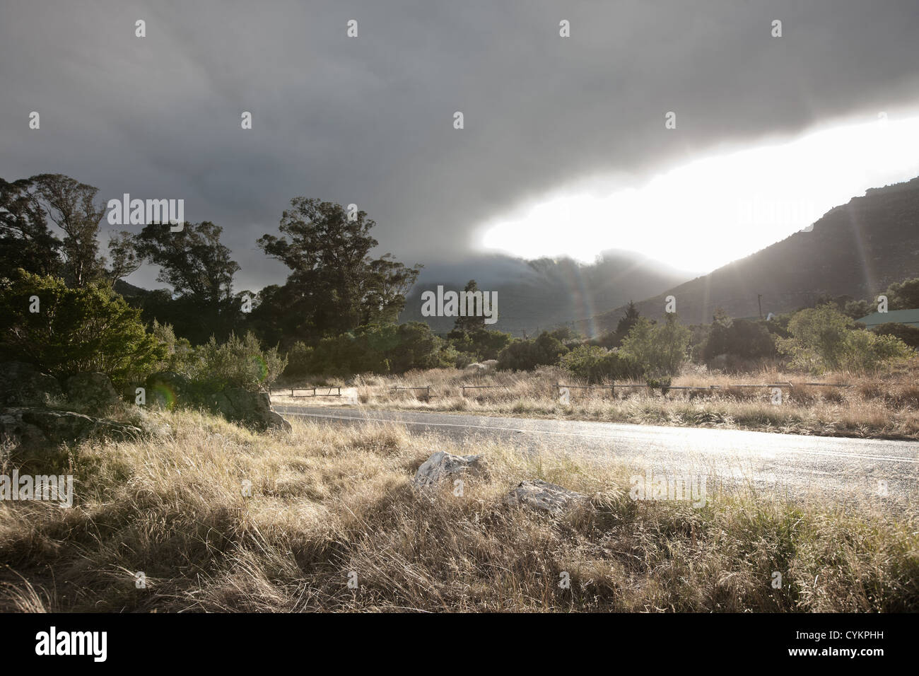 Grass growing along rural road Stock Photo - Alamy