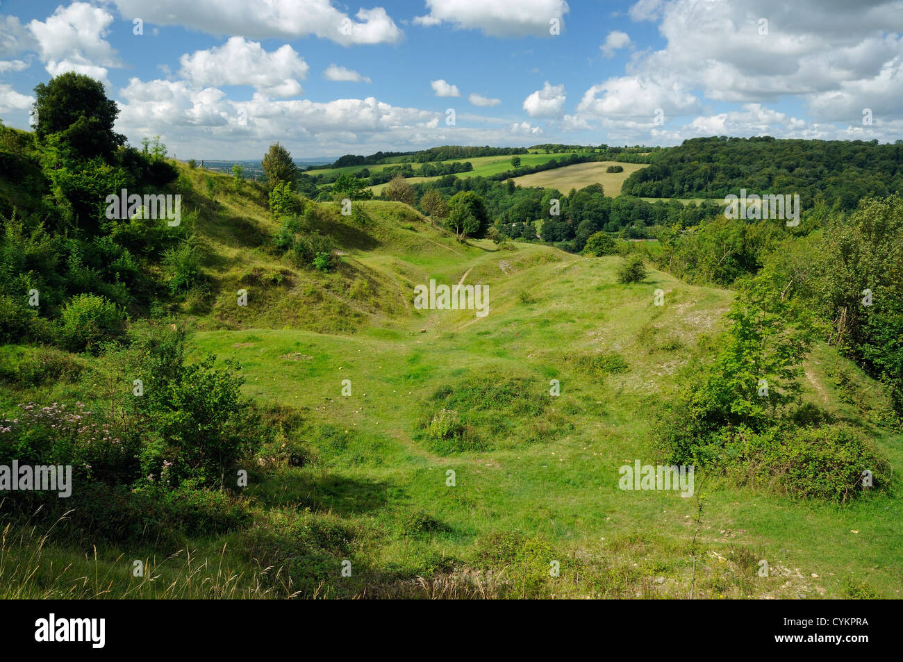 Unimproved Limestone Grassland in Disused Cotswold Stone Quarry, Swifts Hill, Slad Stock Photo